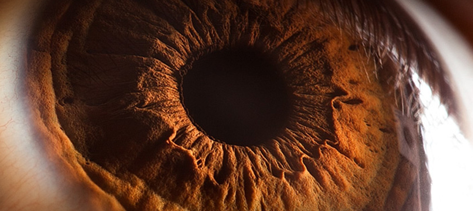 The Eye's Teaser